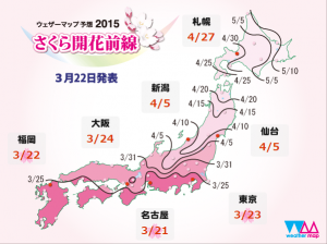 2015　桜開花予報