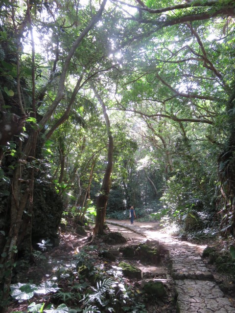 %e6%b2%96%e7%b8%842016%e3%80%80%e6%96%8e%e5%a0%b4%e5%be%a1%e5%b6%bd